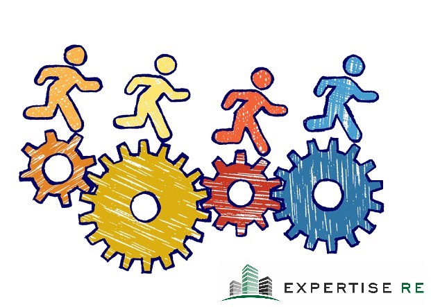 Expertise Re - Organizzazione - Agente immobiliare